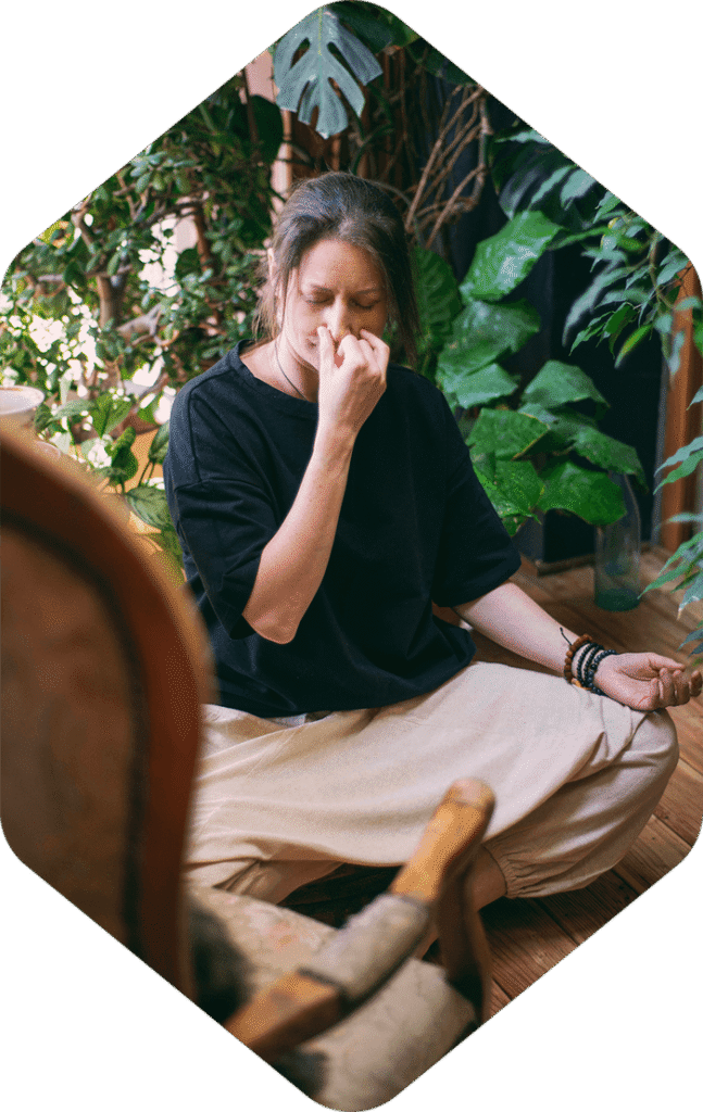 Oferta | Atelier Jogi